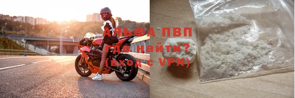 PSILOCYBIN Белокуриха