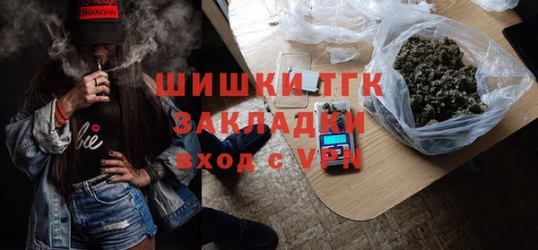 PSILOCYBIN Белокуриха