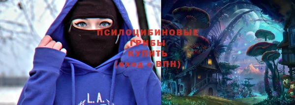 PSILOCYBIN Белокуриха