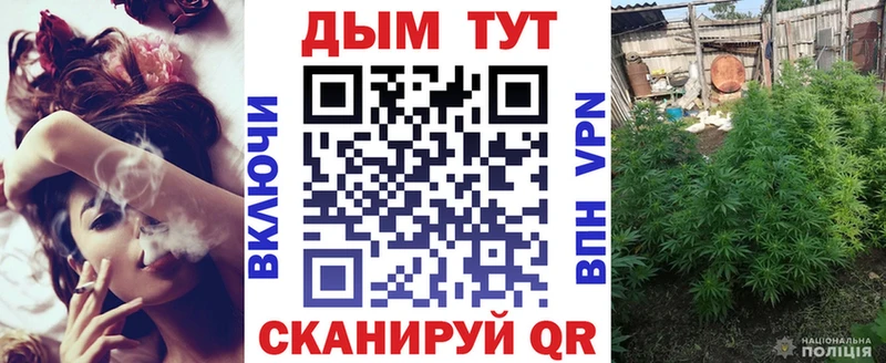 Канабис MAZAR  Рудня 